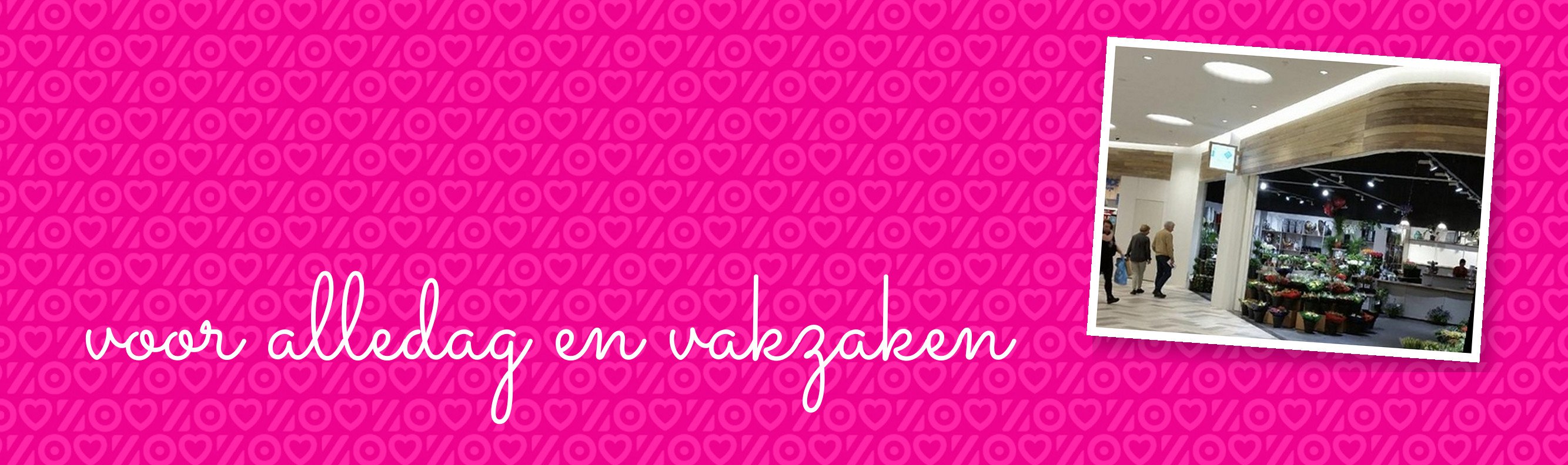 Header Westwaarts Passage – voor alledag en vakzaken.